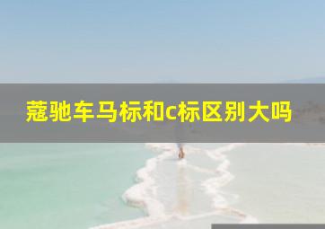 蔻驰车马标和c标区别大吗