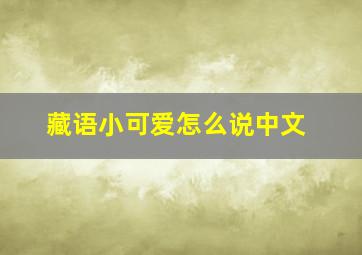 藏语小可爱怎么说中文