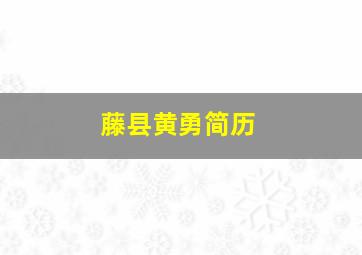 藤县黄勇简历