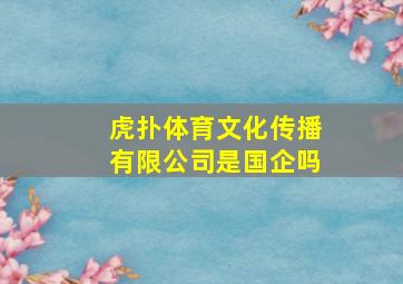 虎扑体育文化传播有限公司是国企吗