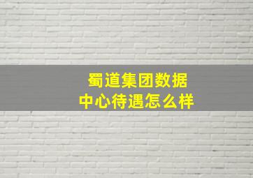 蜀道集团数据中心待遇怎么样