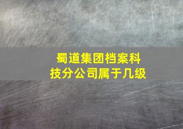 蜀道集团档案科技分公司属于几级