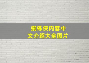 蜘蛛侠内容中文介绍大全图片