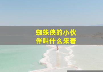 蜘蛛侠的小伙伴叫什么来着