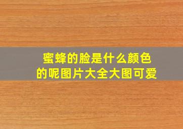 蜜蜂的脸是什么颜色的呢图片大全大图可爱