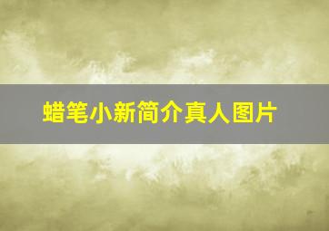 蜡笔小新简介真人图片