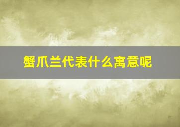 蟹爪兰代表什么寓意呢