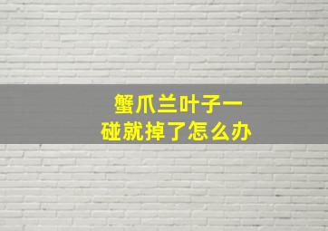 蟹爪兰叶子一碰就掉了怎么办