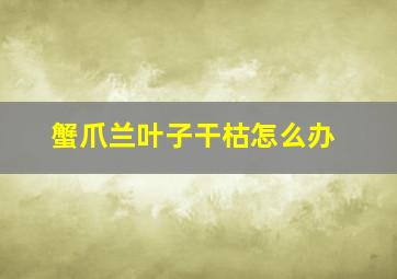 蟹爪兰叶子干枯怎么办