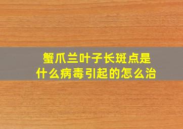 蟹爪兰叶子长斑点是什么病毒引起的怎么治