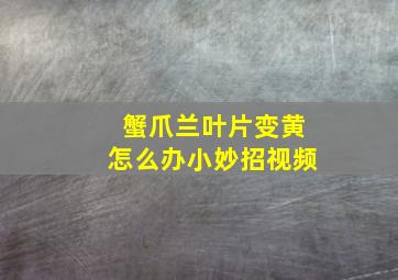 蟹爪兰叶片变黄怎么办小妙招视频