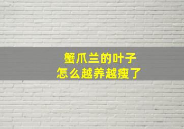 蟹爪兰的叶子怎么越养越瘦了