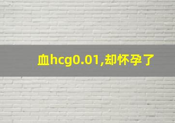 血hcg0.01,却怀孕了