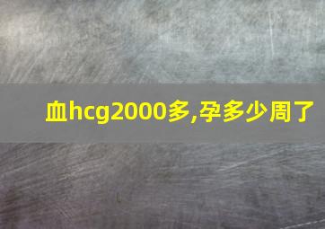 血hcg2000多,孕多少周了