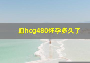 血hcg480怀孕多久了