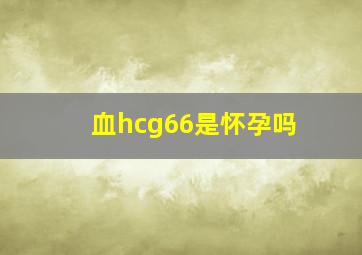 血hcg66是怀孕吗