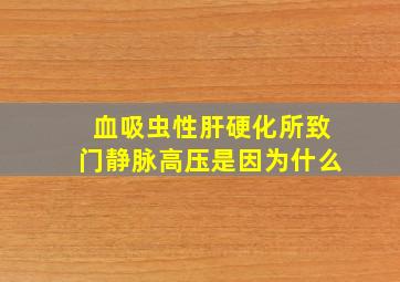 血吸虫性肝硬化所致门静脉高压是因为什么