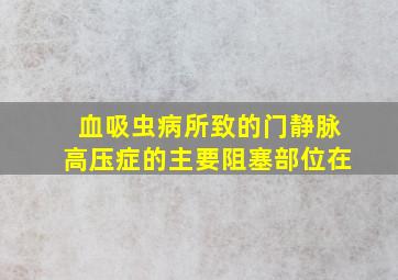 血吸虫病所致的门静脉高压症的主要阻塞部位在