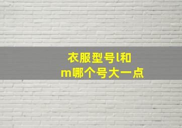 衣服型号l和m哪个号大一点