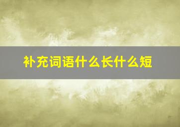 补充词语什么长什么短