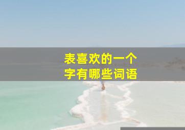 表喜欢的一个字有哪些词语