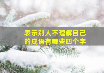 表示别人不理解自己的成语有哪些四个字