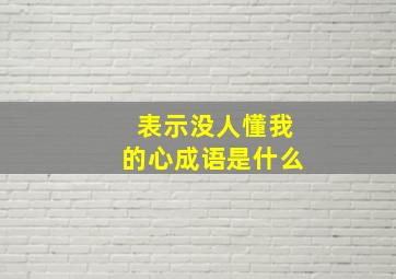 表示没人懂我的心成语是什么