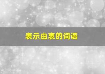 表示由衷的词语