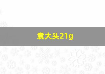 袁大头21g