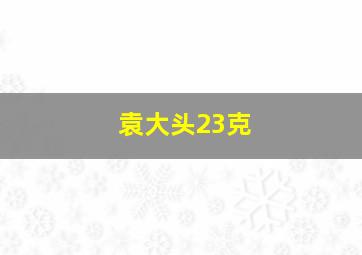 袁大头23克