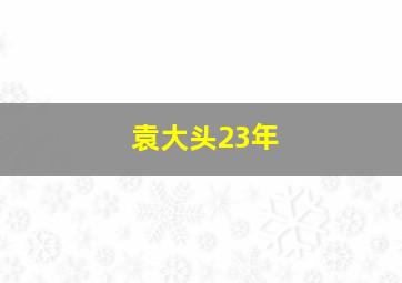 袁大头23年