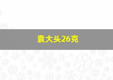 袁大头26克