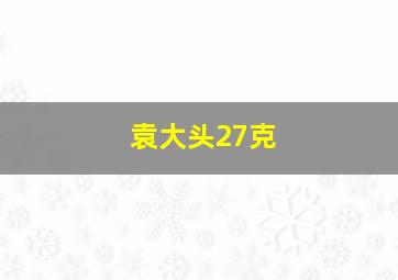 袁大头27克