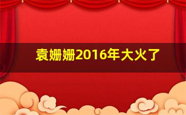 袁姗姗2016年大火了