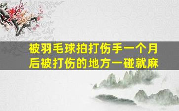 被羽毛球拍打伤手一个月后被打伤的地方一碰就麻