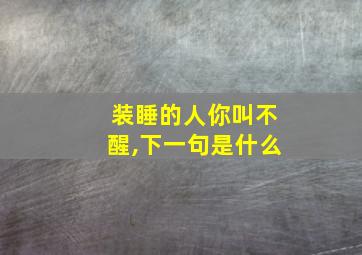 装睡的人你叫不醒,下一句是什么