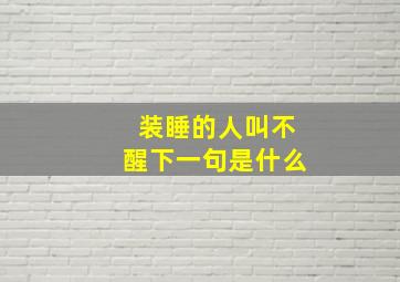 装睡的人叫不醒下一句是什么