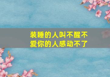 装睡的人叫不醒不爱你的人感动不了