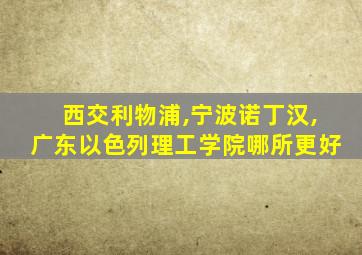 西交利物浦,宁波诺丁汉,广东以色列理工学院哪所更好