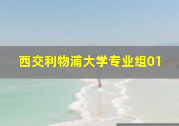 西交利物浦大学专业组01