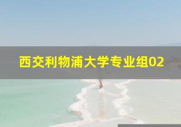 西交利物浦大学专业组02