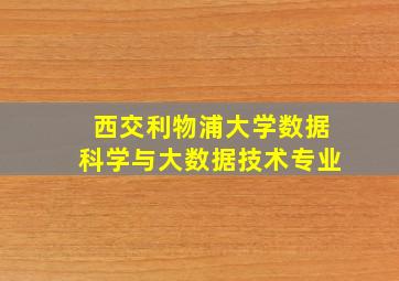 西交利物浦大学数据科学与大数据技术专业