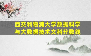 西交利物浦大学数据科学与大数据技术文科分数线