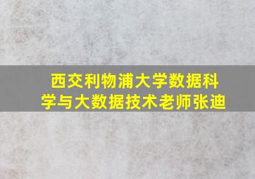 西交利物浦大学数据科学与大数据技术老师张迪