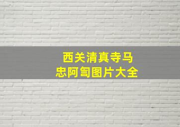 西关清真寺马忠阿訇图片大全