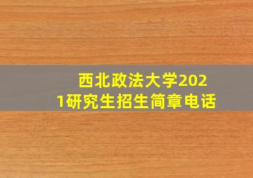 西北政法大学2021研究生招生简章电话