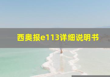 西奥报e113详细说明书