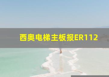 西奥电梯主板报ER112