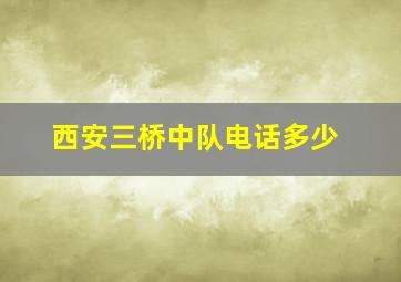 西安三桥中队电话多少