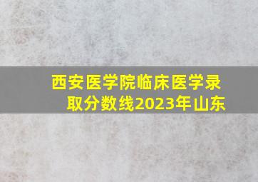 西安医学院临床医学录取分数线2023年山东